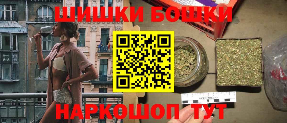 Канабис планчик Прохладный